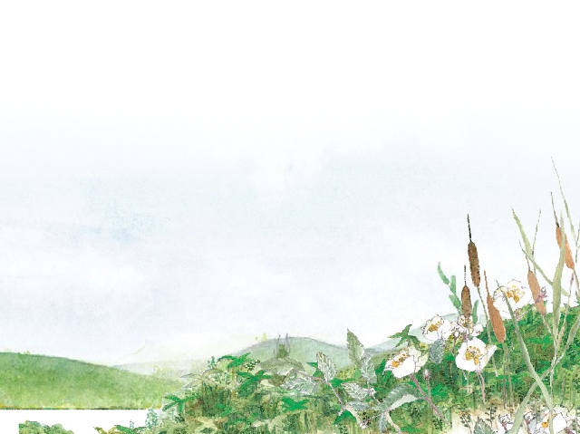 미래엔 고등 국어